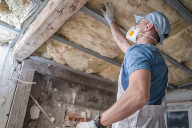 Best Local Insulation Services  in Newmanstown, PA